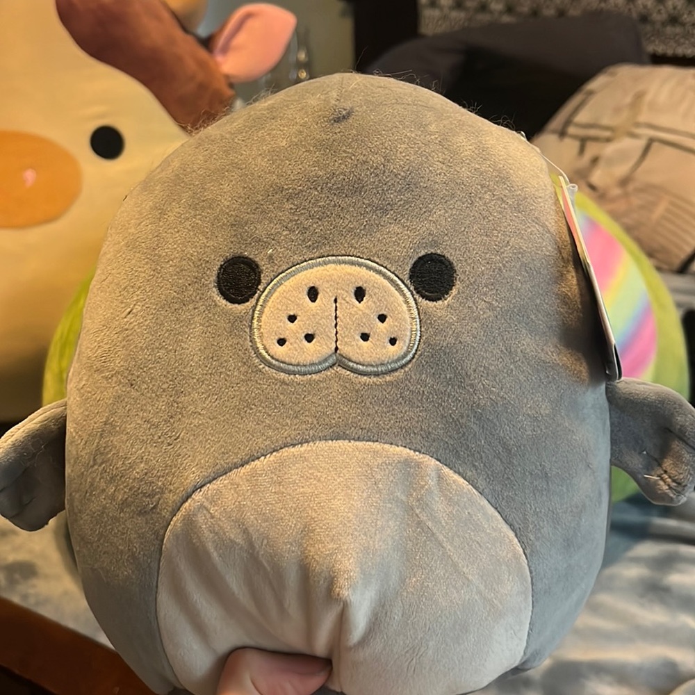 Grey seal squishmallow